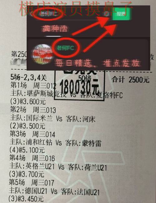 世界杯买球网站全面分析报告：安全入口+直播与实际体验总结 - World Cup 2026